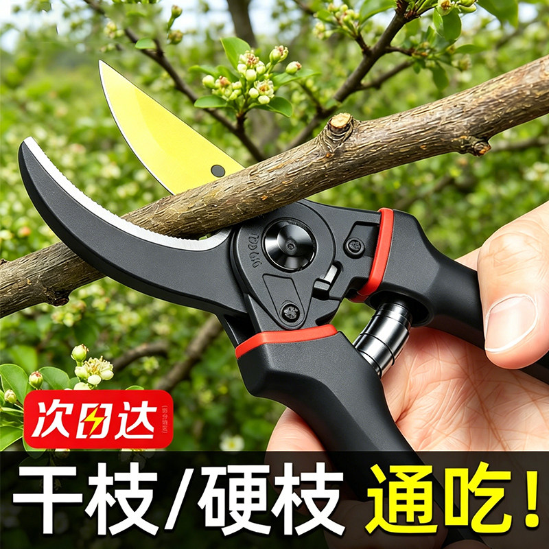 园艺剪刀专业修剪粗枝省力切割园林修枝剪花SK5专用剪刀