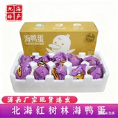 北海特产礼盒装 北部湾红树林烤海鸭蛋 爆油咸鸭蛋80g端午中秋礼品