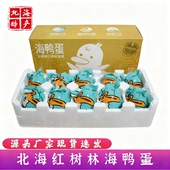 北海特产10枚60g礼盒装 北部湾红树林烤海鸭蛋咸鸭蛋端午中秋礼品