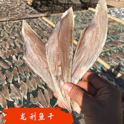 去头广西去头中龙利500