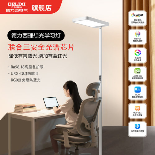 德力西护眼灯大路灯+政府补贴15%