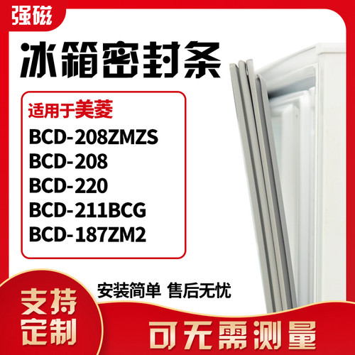 208ZMZS208220211BCG187ZM2