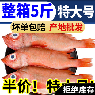 红石斑鱼整条新鲜冷冻大龙胆鱼富贵鱼红鱼颌斑石斑鱼海鲜水产