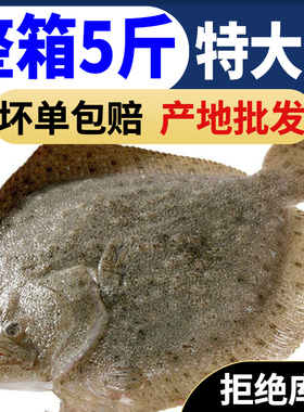 鲜活多宝鱼新鲜比目鱼大菱鲆海鲜鱼类水产冷冻海鲜