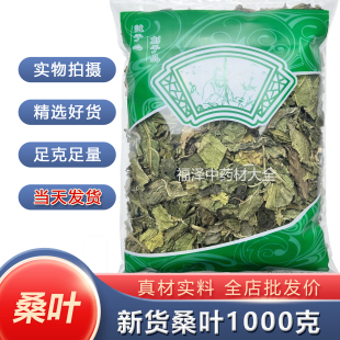 正品新货桑叶中药材草药霜桑叶 1000g克统货包邮安国批发市场