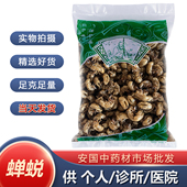 新货蝉蜕水洗蝉脱蝉蜕壳蝉壳蝉衣蝉皮 市场新货正品 安国 中药材