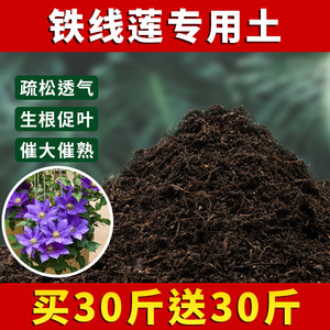 铁线莲专用土碱性种植土盆栽土壤肥料泥土铁线莲营养土家用养花土