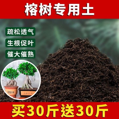 榕树专用土家庭绿植栽培土榕树营养土种植泥土家庭肥料疏松土壤