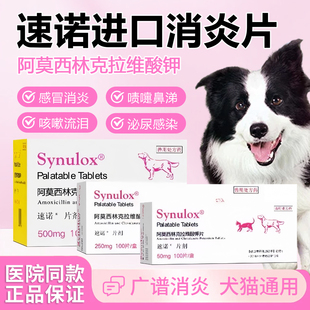 速诺进口消炎片阿莫西林克拉维酸钾犬猫感冒喷嚏咳嗽泌尿感染兽用