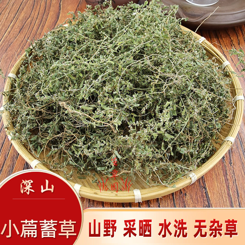 晒干小萹蓄草深山化湿杀虫凉茶中药材习见蓼扁蓄扁竹猪牙草中草药