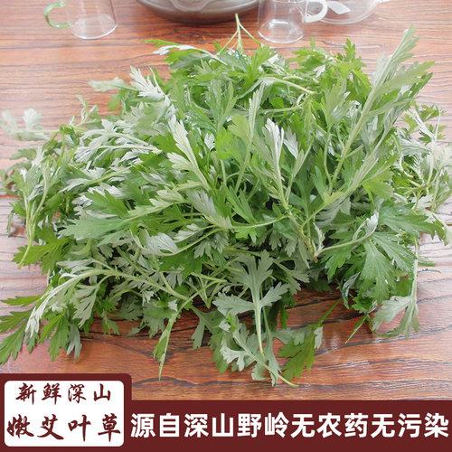 艾叶草糍粑艾板蔬菜新鲜食用野菜