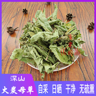 野生火炭母草中草药材火炭母根火炭星火炭藤白饭草信饭藤凉茶新鲜