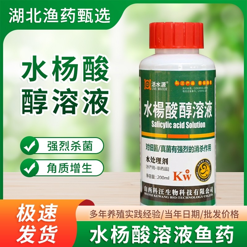 水杨酸溶液水产 鱼药 水霉净 灵 白毛病 比硫醚沙星好腐皮病