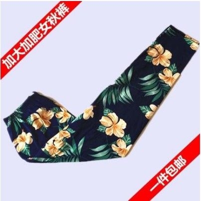 秋冬女款胖mm200斤加肥加大码秋裤 保暖打底裤中老年薄款莱卡棉