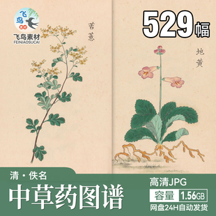 中草药图谱手绘彩图本草纲目草谷菜部植物药草绘画插图设计素材