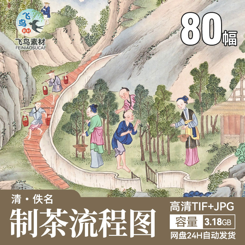 古代种茶树制茶采茶插画中国茶文设计素材/源文件