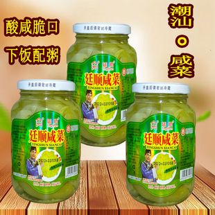 潮汕特产新鲜杂咸小菜酸菜 廷顺咸菜地都咸菜口 腌制泡菜酱菜460g