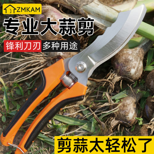 大蒜专用剪刀剪蒜须蒜头去根神器