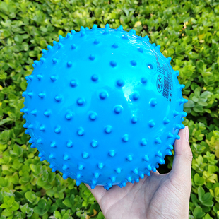 幼儿园建大4 宝宝弹力拍拍小刺球 9寸软按摩球儿童感统触觉刺猬球