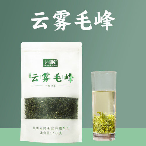贵州普安绿茶新茶因民茶业云雾毛尖一级250克袋装清新爽口