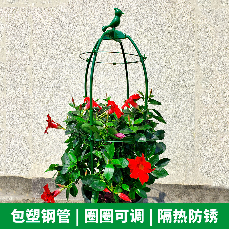 飘香藤花支柱植物爬藤架盆栽月季攀爬支架铁线莲支撑杆玫瑰花撑架
