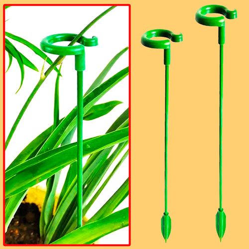 植物防倒伏蝴蝶兰吊兰支撑杆花架