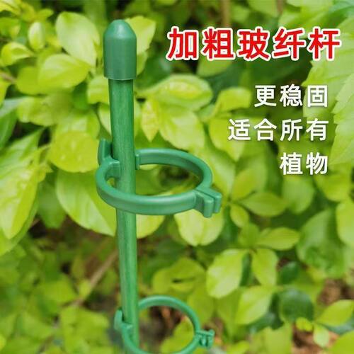 龟背竹三角梅专用玻纤漂高支撑架爬藤杆蝴蝶兰防倒伏防倒固定支架