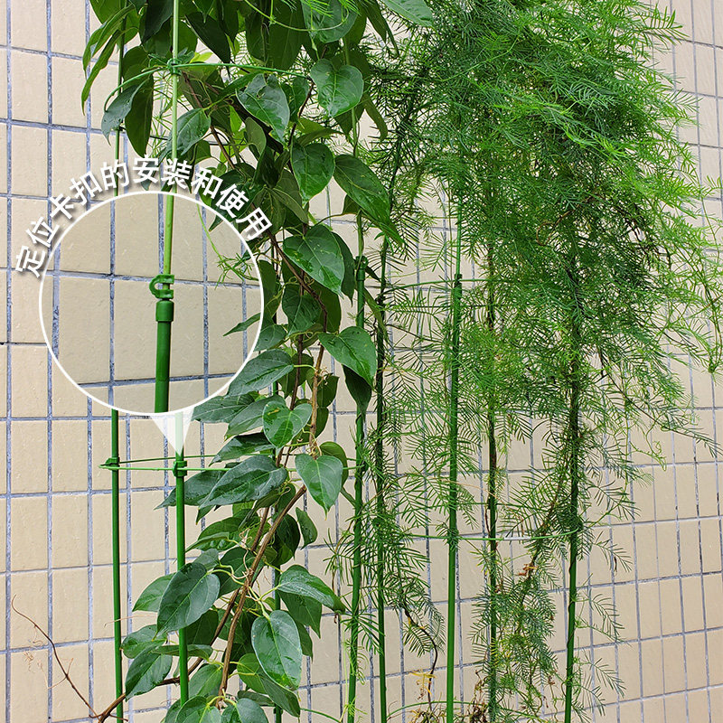 DIY花架配件8mm7mm4.0卡扣裸管尖帽伸缩圆圈保护帽套包塑钢管支架,鲜花速递/花卉仿真/绿植园艺,花架,淘宝优惠券,粉丝福利购,淘宝优惠卷