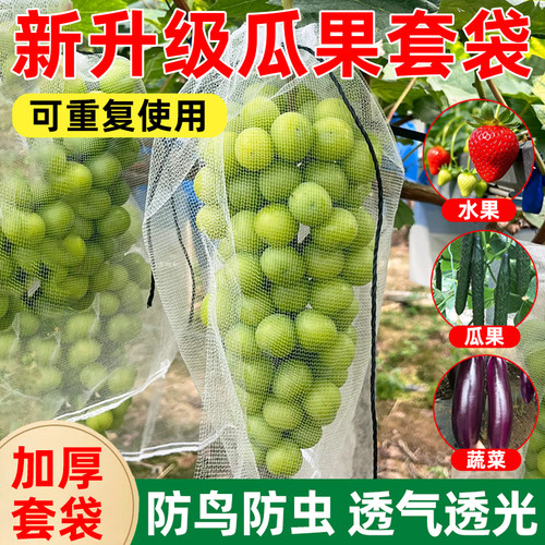 防鸟网纱袋瓜果防虫专用袋无花果枇杷葡萄桃子草莓保护袋水果套袋