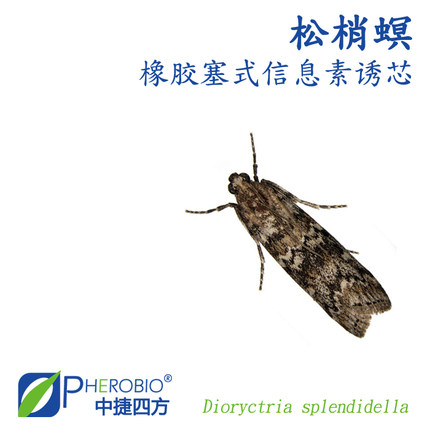 中捷四方松梢螟信息素诱芯诱捕器昆虫信息素性诱剂高效