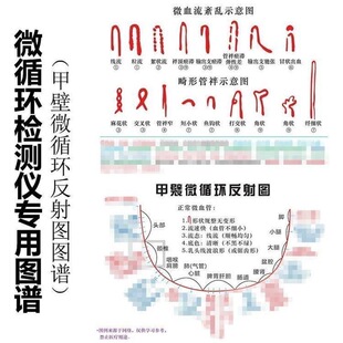 挂图讲解说明书甲裂微循环检测仪反射图血流示意图册图集图解资料