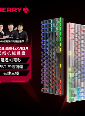 【新年礼物】CHERRY樱桃MX8.2 XAGA曜石三模机械键盘电竞游戏87键