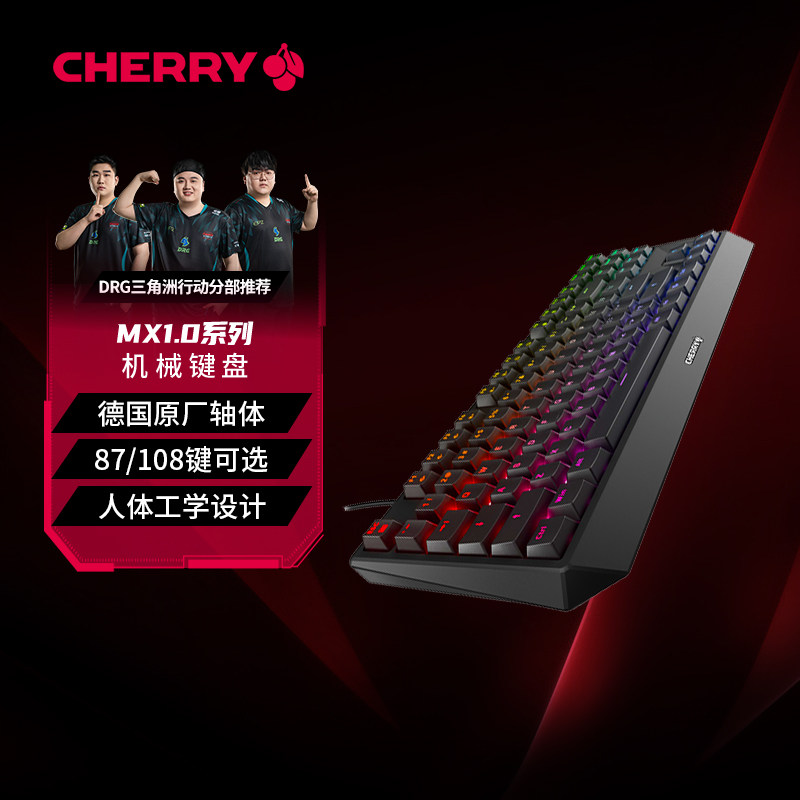 CHERRY樱桃MX1.0机械键盘有线电竞游戏专用茶青红轴小键盘办公