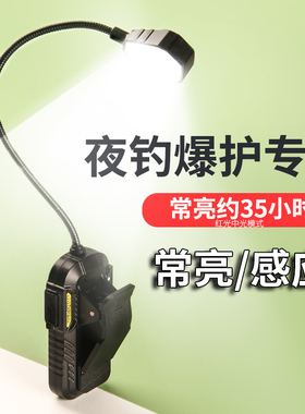 钓鱼感应上饵灯夜钓换饵灯充电拉饵灯上饵料灯挂饵灯饵盘灯鱼饵灯