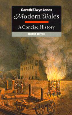 【预售】Modern Wales: A Concise History