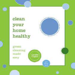 【预售】Clean Your Home Healthy: Green Cleaning Made Easy