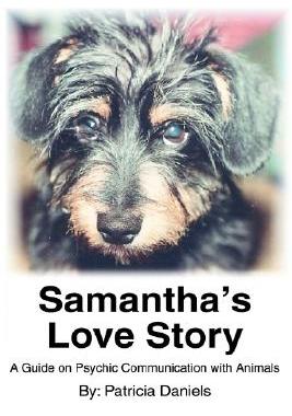 【预售】Samantha's Love Story: A Guide on Psychic