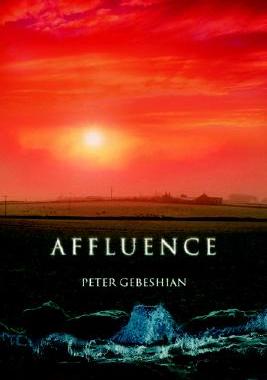 【预售】Affluence