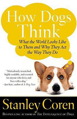 【预售】How Dogs Think: What the World Looks Like to Them
