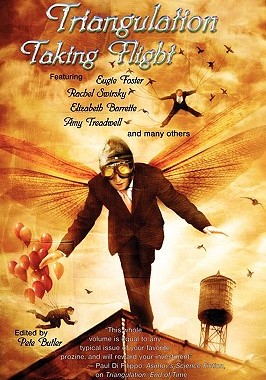 【预售】Triangulation: Taking Flight