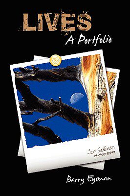 美国库房发货，通常付款后5-8周到货！