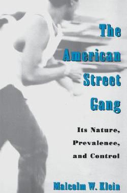 【预售】The American Street Gang: Its Nature, Prevalence