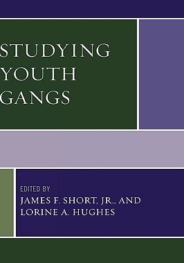 【预售】Studying Youth Gangs