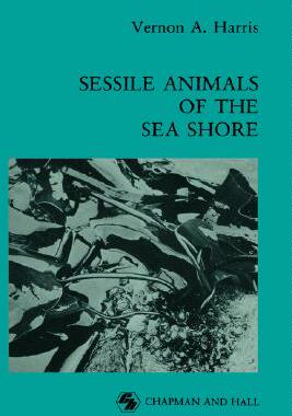 【预售】Sessile Animals of the Sea Shore