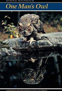 【预售】One Man's Owl: (Abridged Edition)