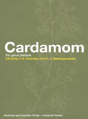 【预售】Cardamom
