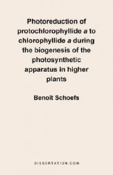 【预售】Photoreduction of Protochlorophyllide A to