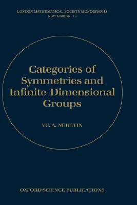 【预售】Categories of Symmetries and Infinite-Dimensional