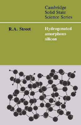 【预售】Hydrogenated Amorphous Silicon