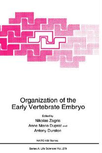 Organization 预售 Embryo Early Vertebrate the
